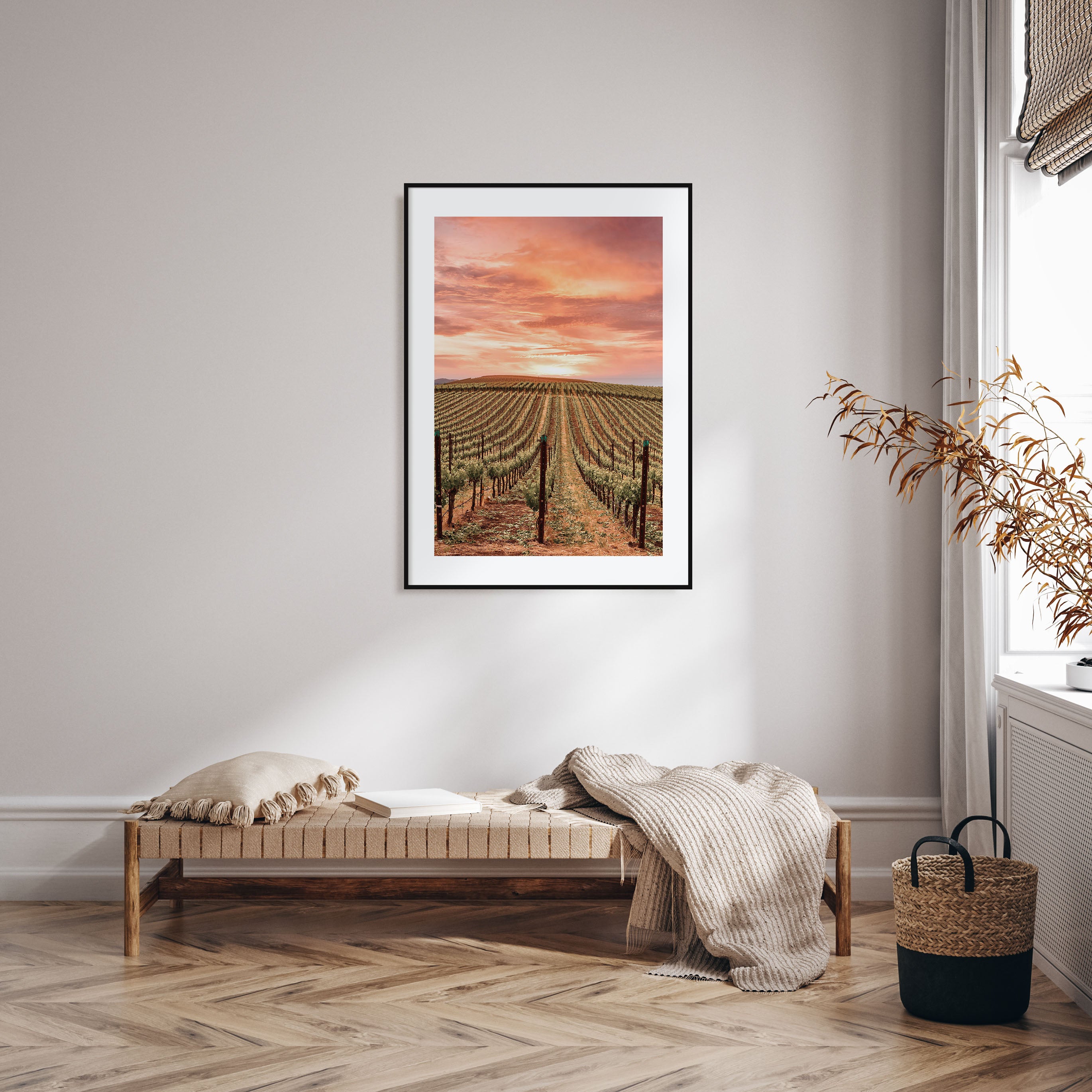 Napa Valley Photo Color No 1 Poster