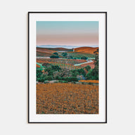 Napa Valley Photo Color No 2 Poster