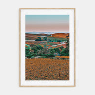 Napa Valley Photo Color No 2 Poster