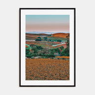 Napa Valley Photo Color No 2 Poster