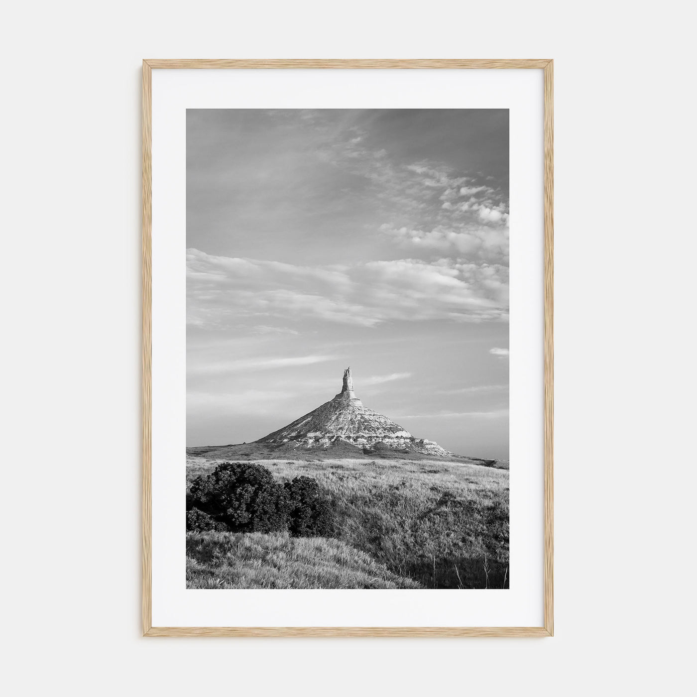 Nebraska Photo B&W Poster
