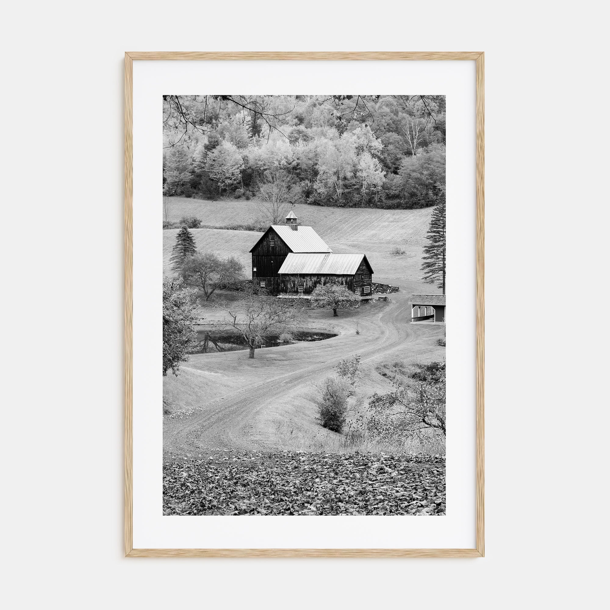 New England Photo B&W Poster