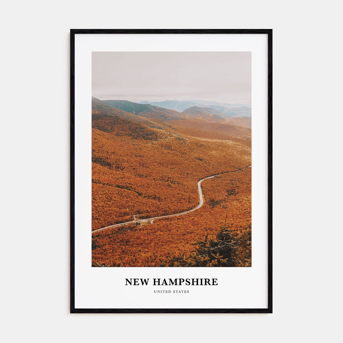 New Hampshire Portrait Color No 3 Poster