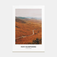 New Hampshire Portrait Color No 3 Poster