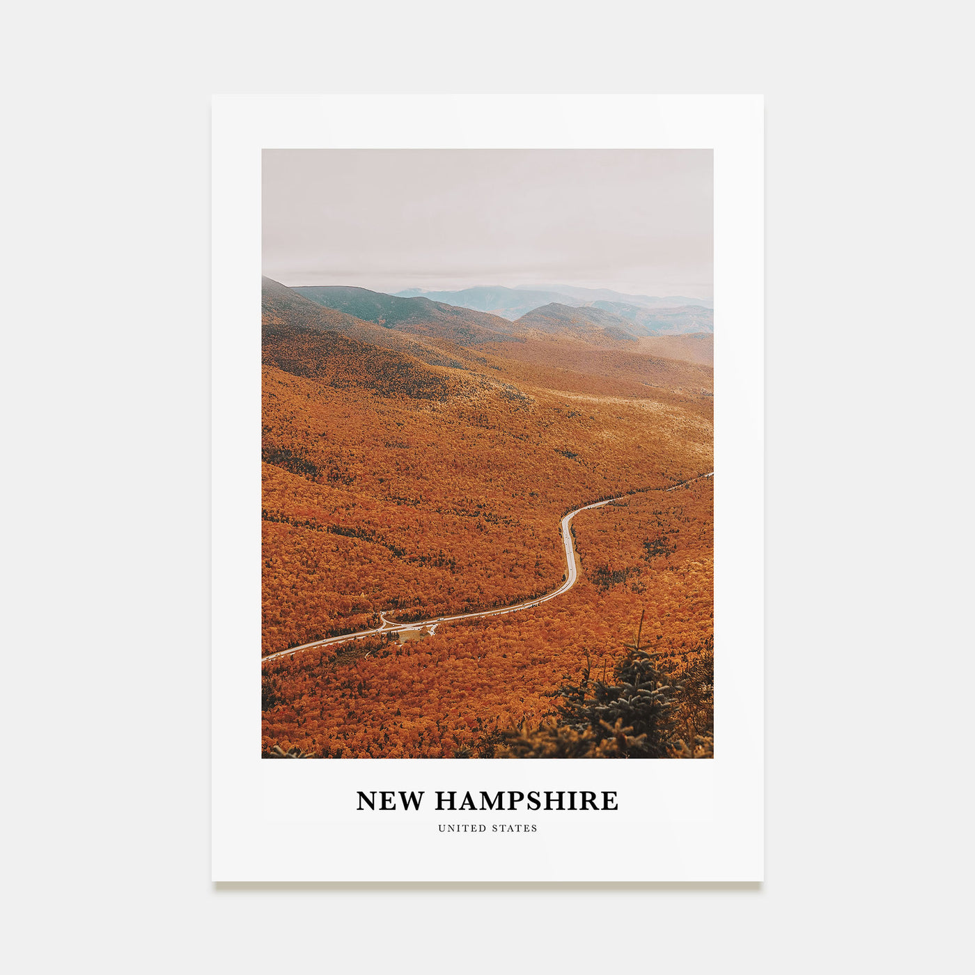 New Hampshire Portrait Color No 3 Poster