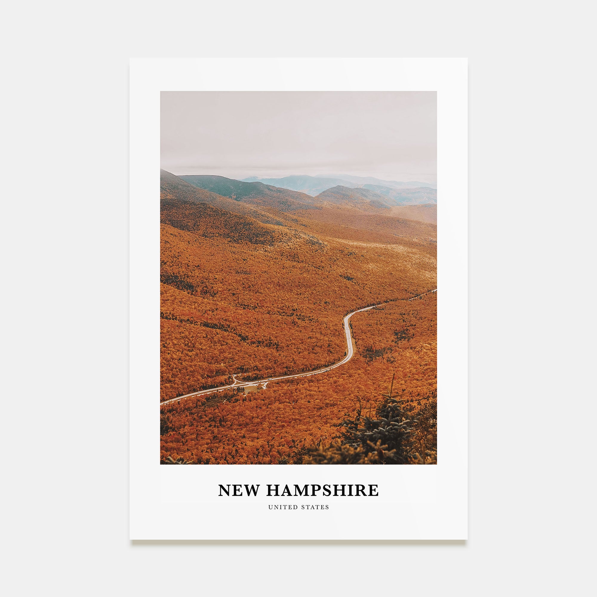 New Hampshire Portrait Color No 3 Poster