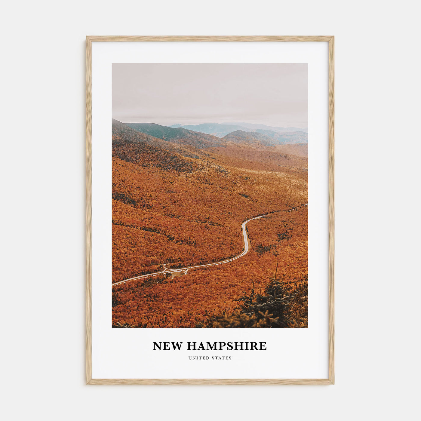 New Hampshire Portrait Color No 3 Poster