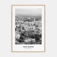 New Haven Portrait B&W Poster