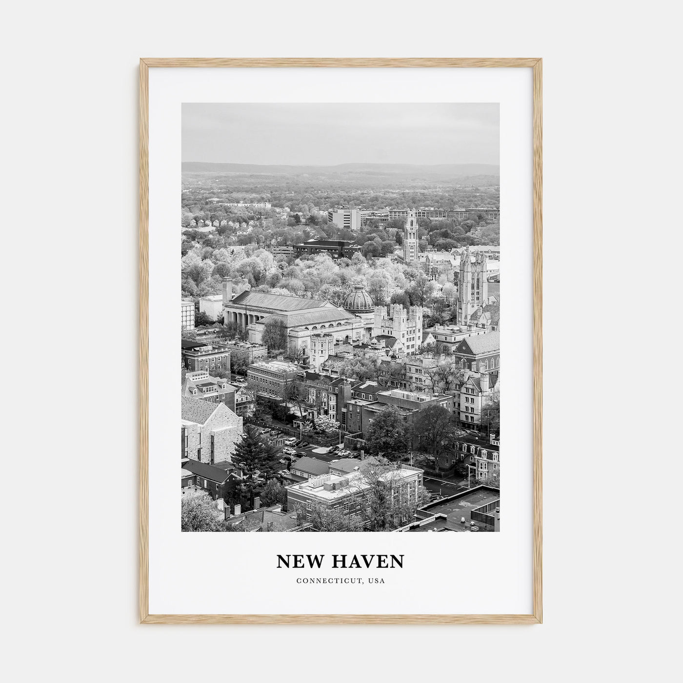 New Haven Portrait B&W Poster