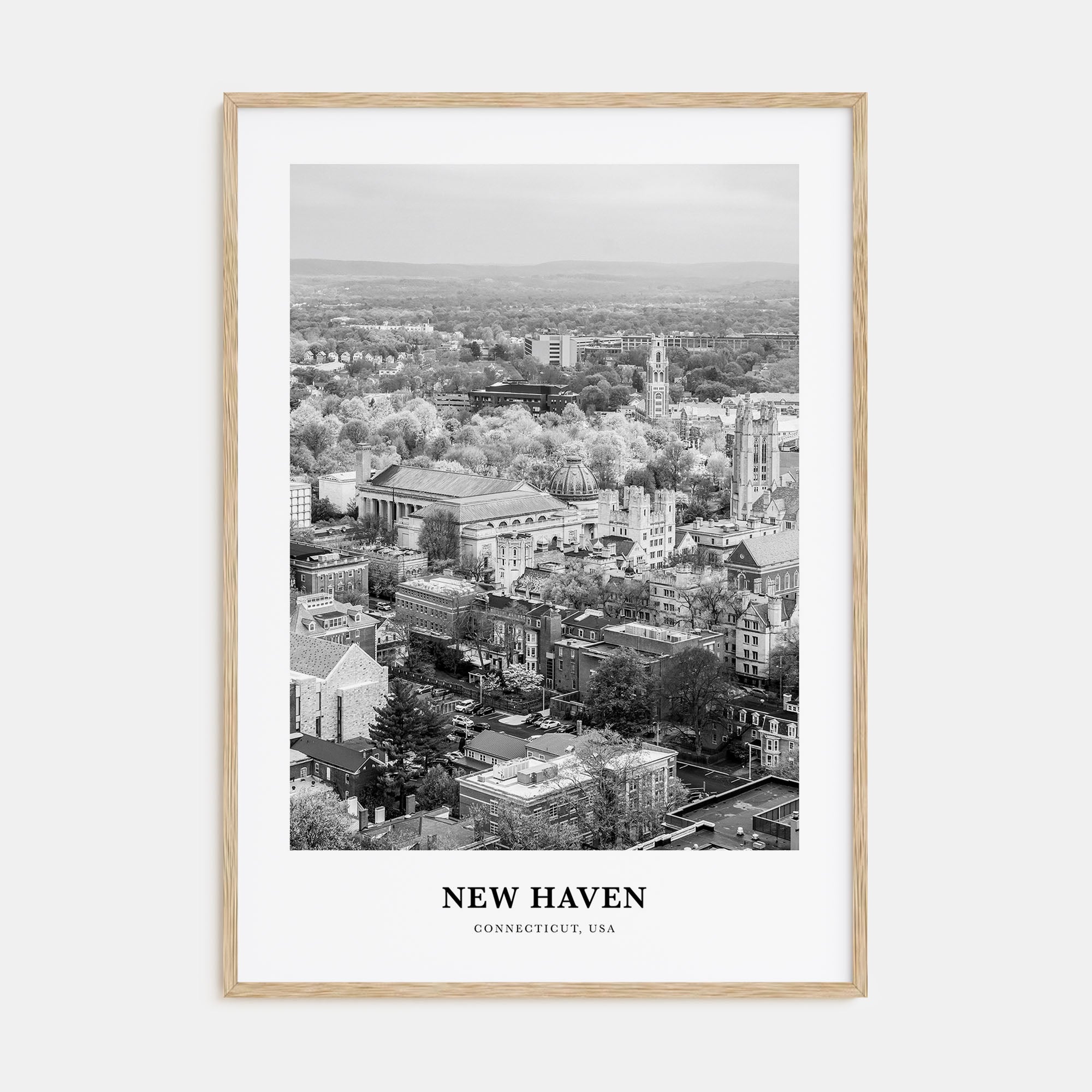New Haven Portrait B&W Poster