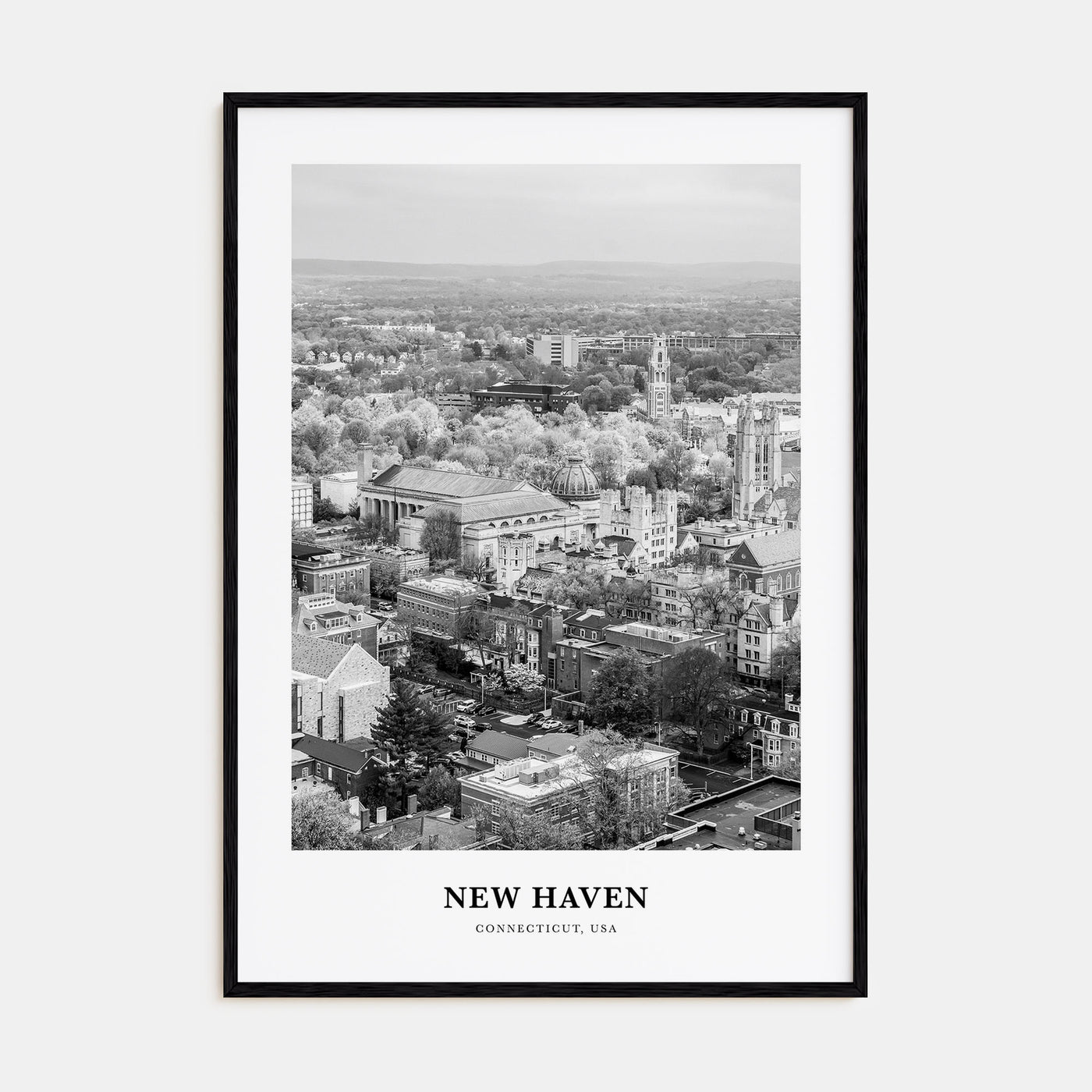 New Haven Portrait B&W Poster