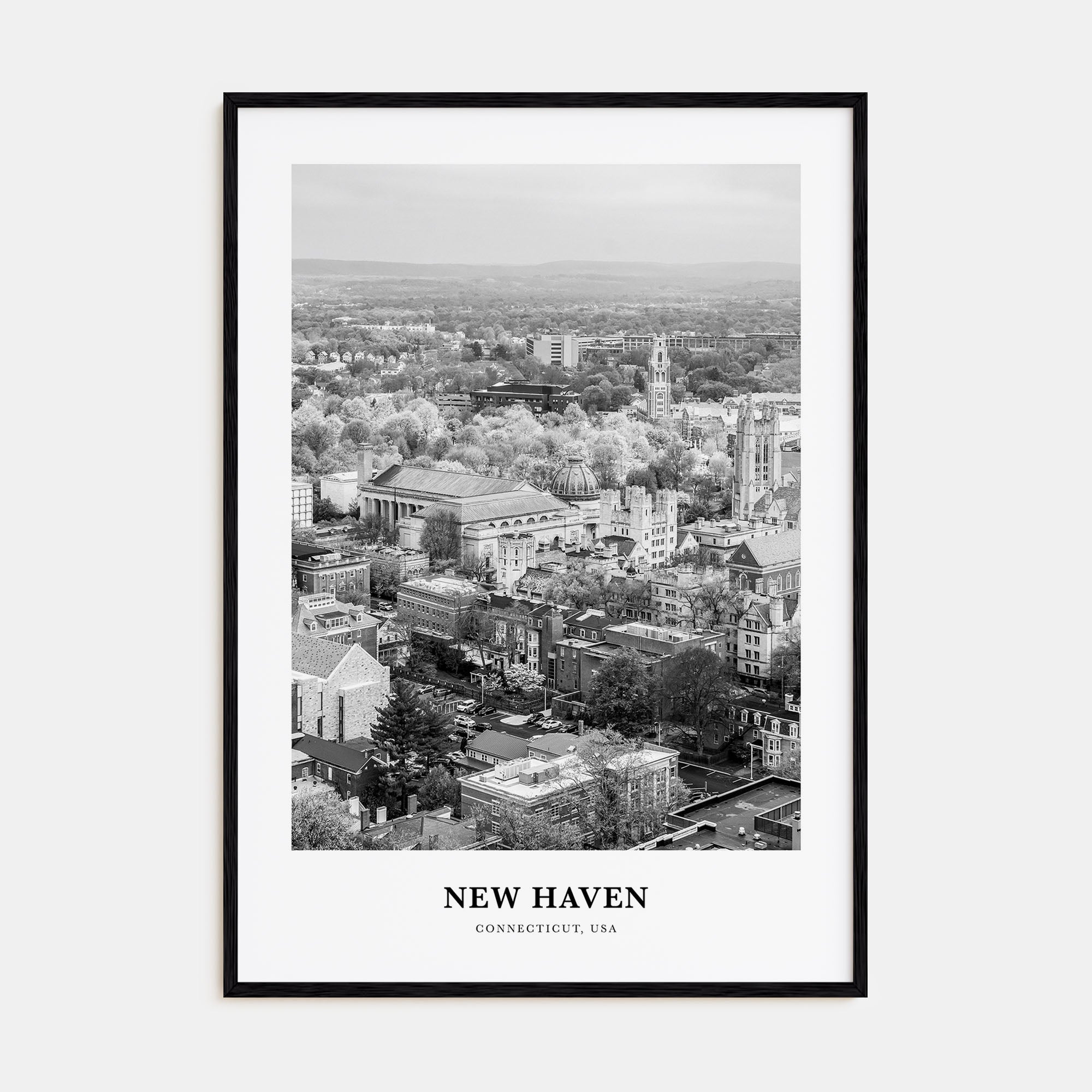New Haven Portrait B&W Poster