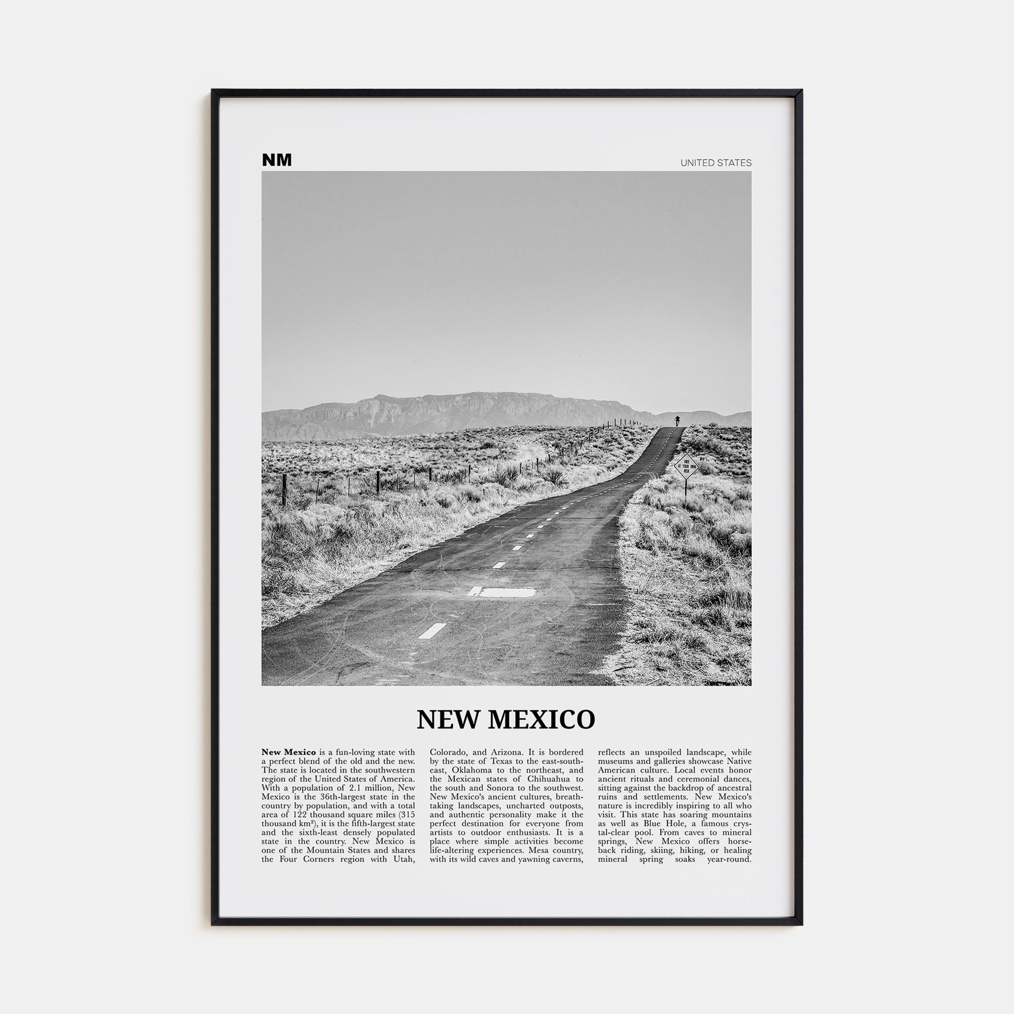 New Mexico Travel B&W No 1 Poster