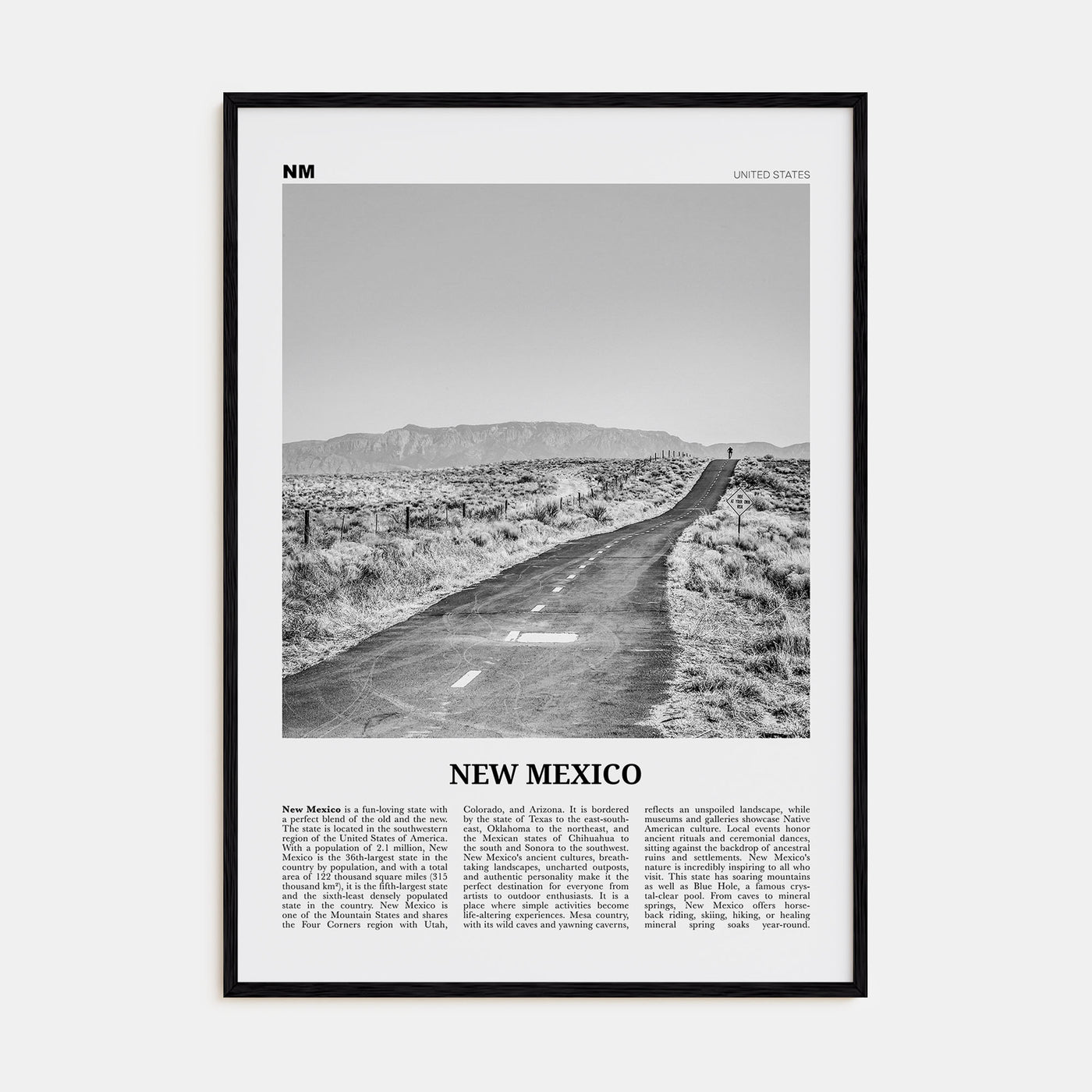 New Mexico Travel B&W No 1 Poster