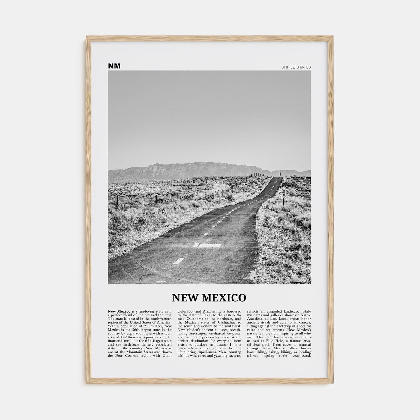 New Mexico Travel B&W No 1 Poster