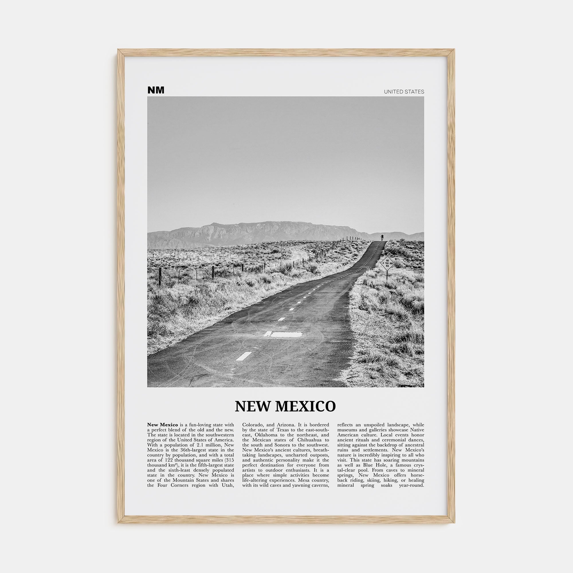 New Mexico Travel B&W No 1 Poster