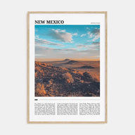 New Mexico Travel Color Poster