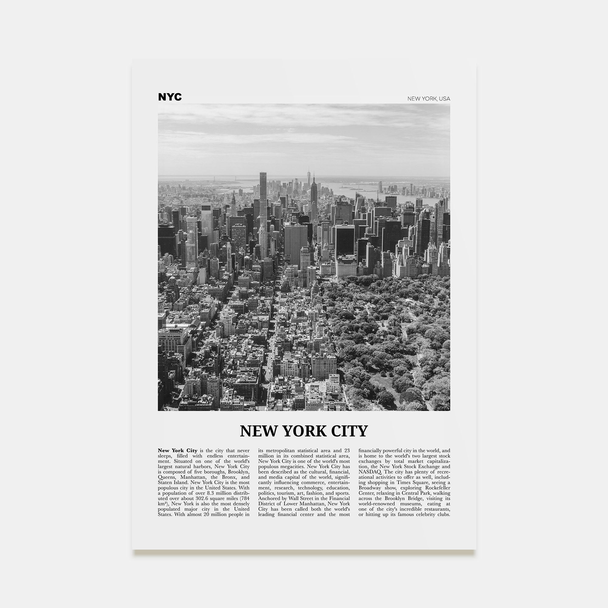 New York City Travel B&W No 3 Poster
