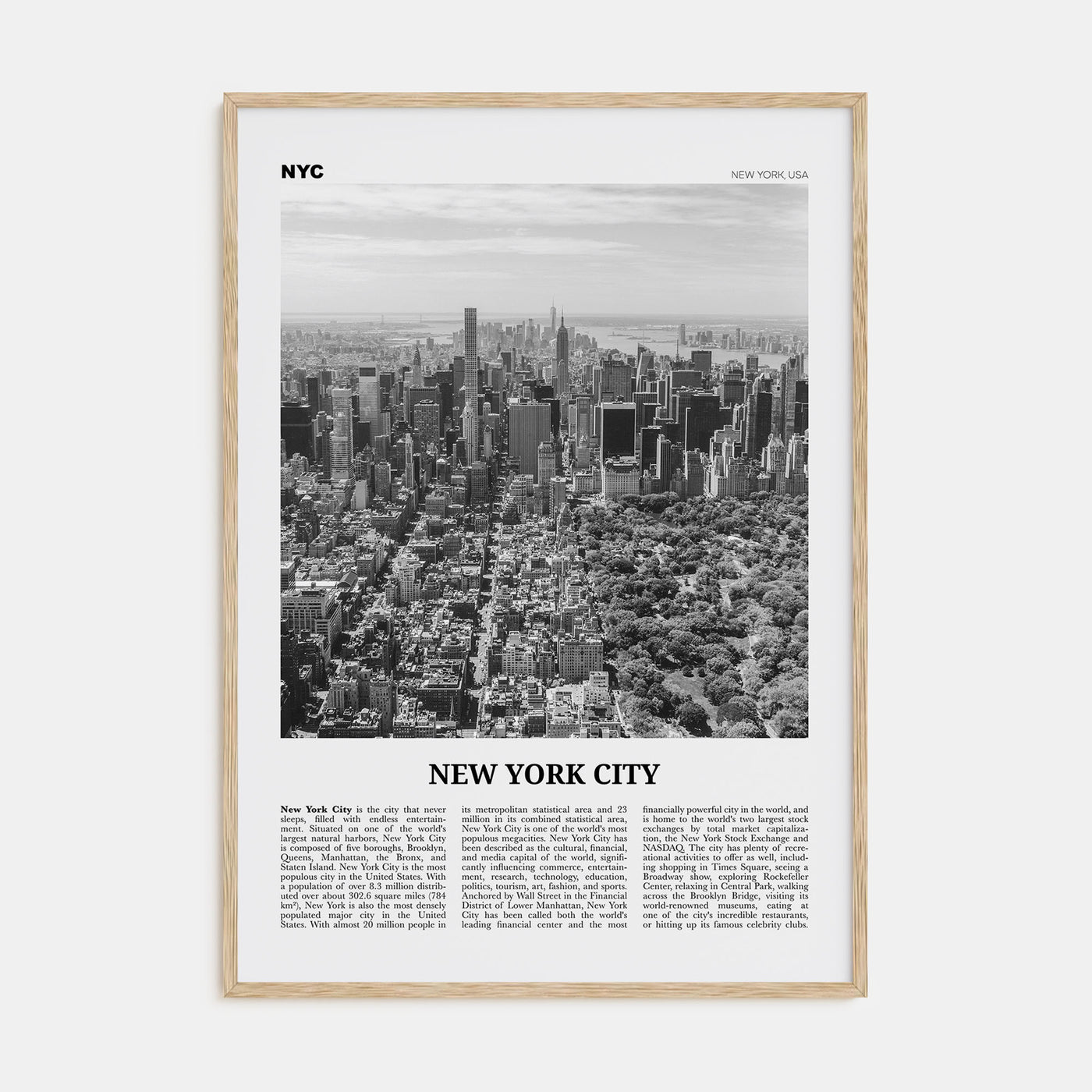 New York City Travel B&W No 3 Poster
