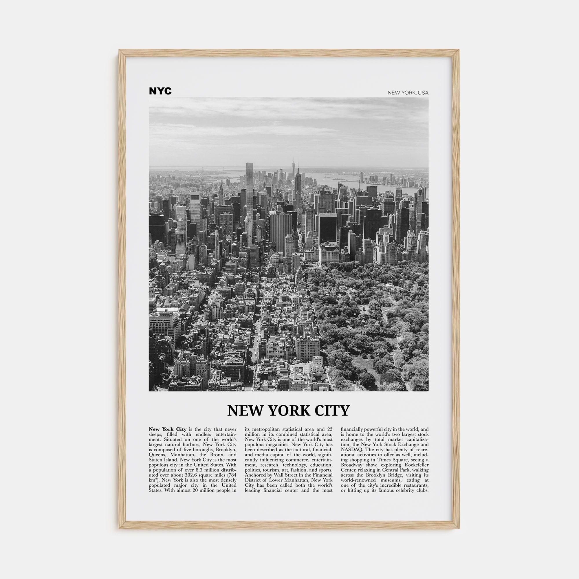 New York City Travel B&W No 3 Poster