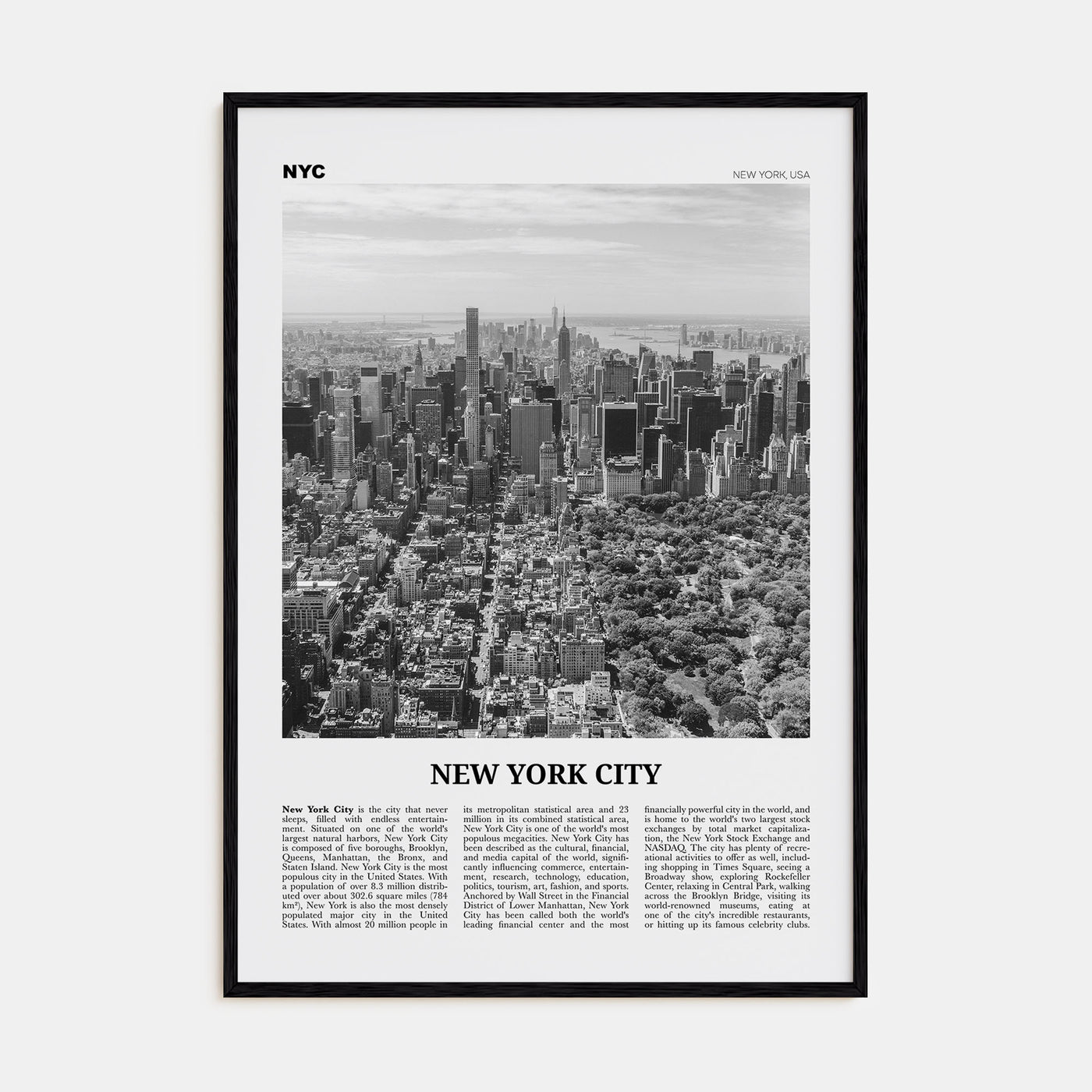 New York City Travel B&W No 3 Poster
