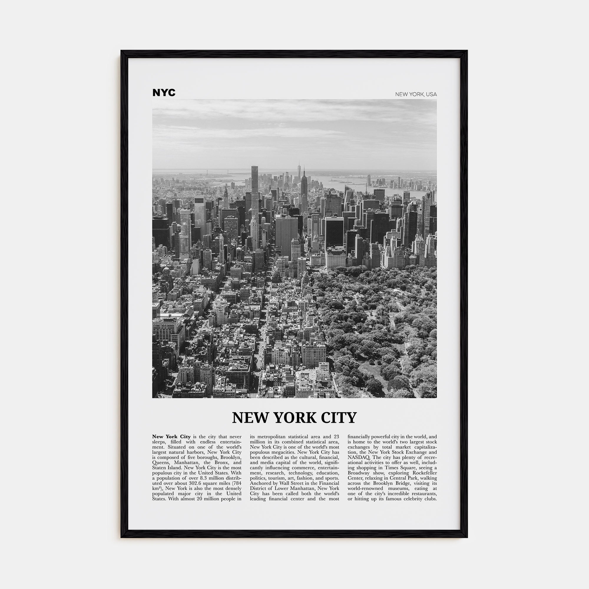 New York City Travel B&W No 3 Poster