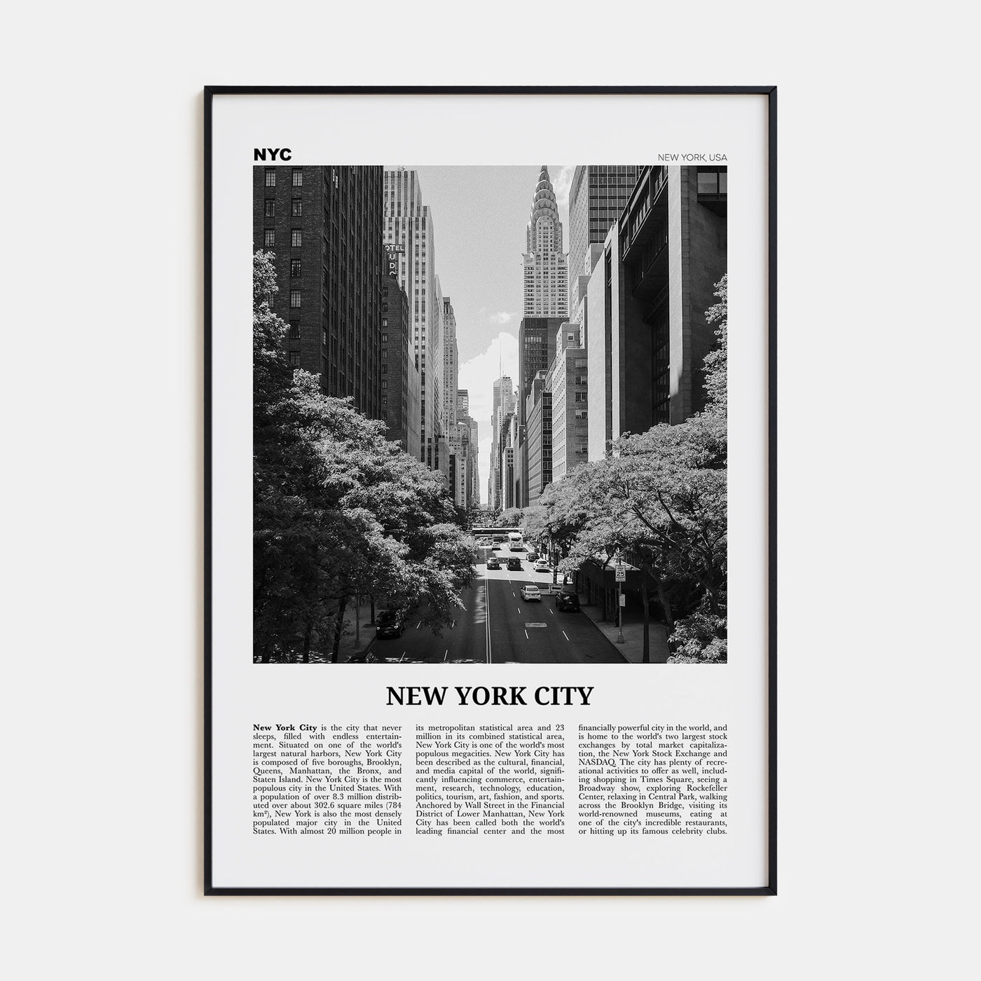 New York City Travel B&W No 4 Poster