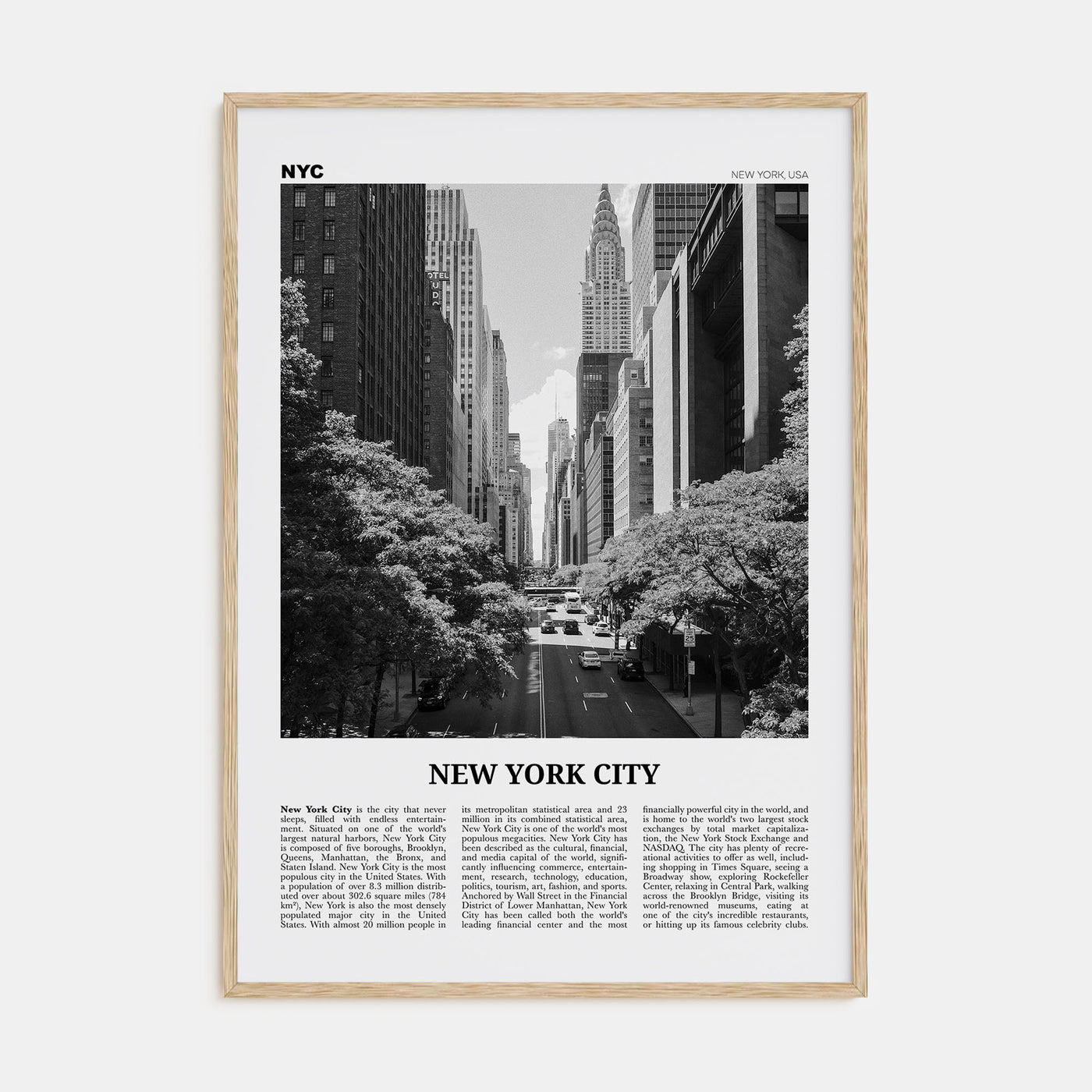 New York City Travel B&W No 4 Poster