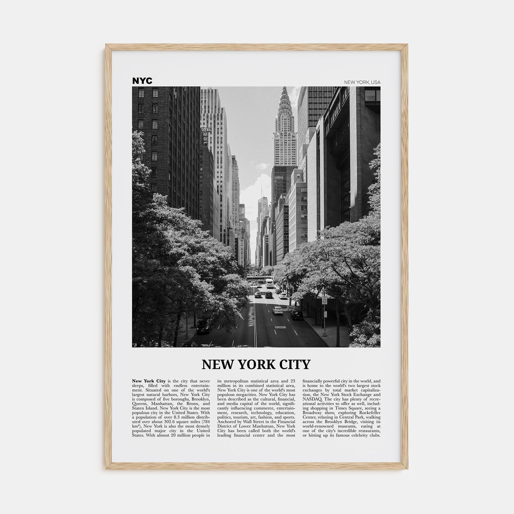 New York City Travel B&W No 4 Poster