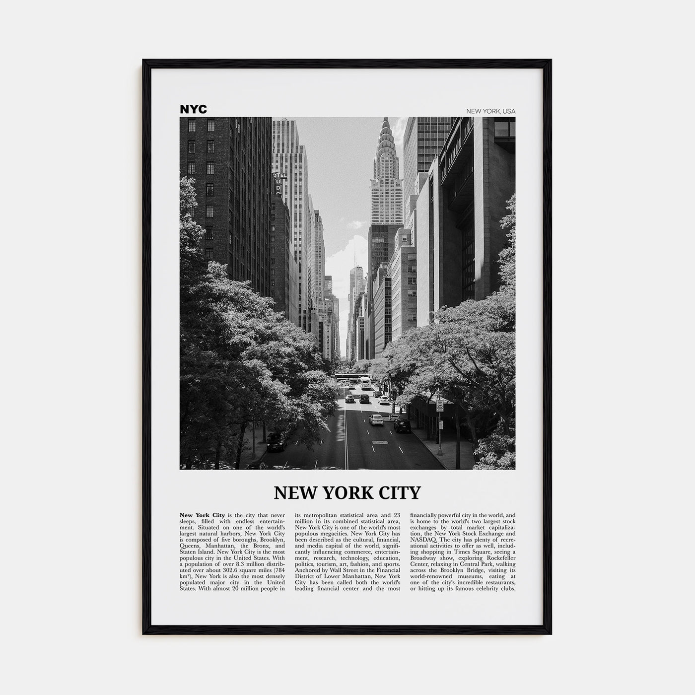 New York City Travel B&W No 4 Poster