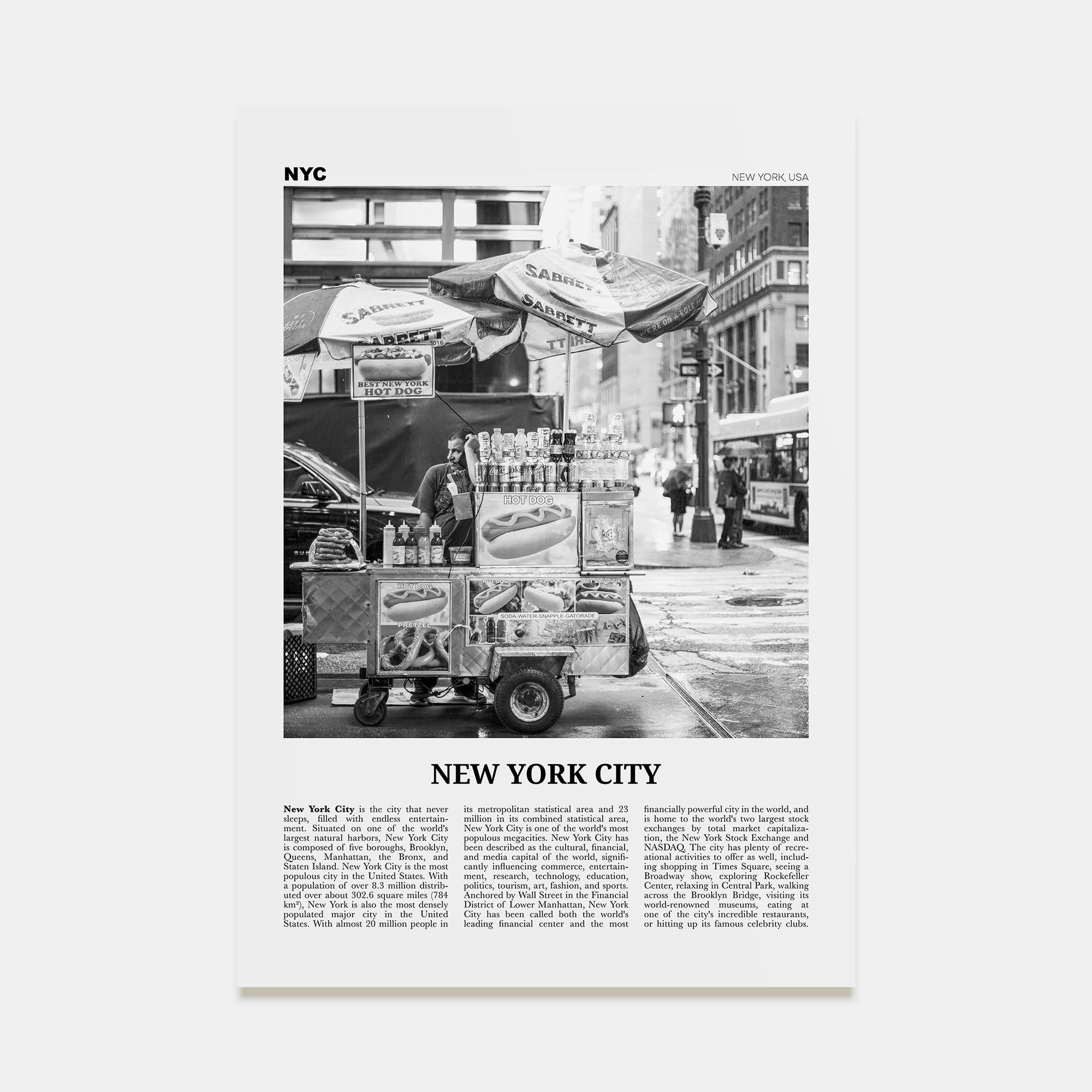 New York City Travel B&W No 5 Poster