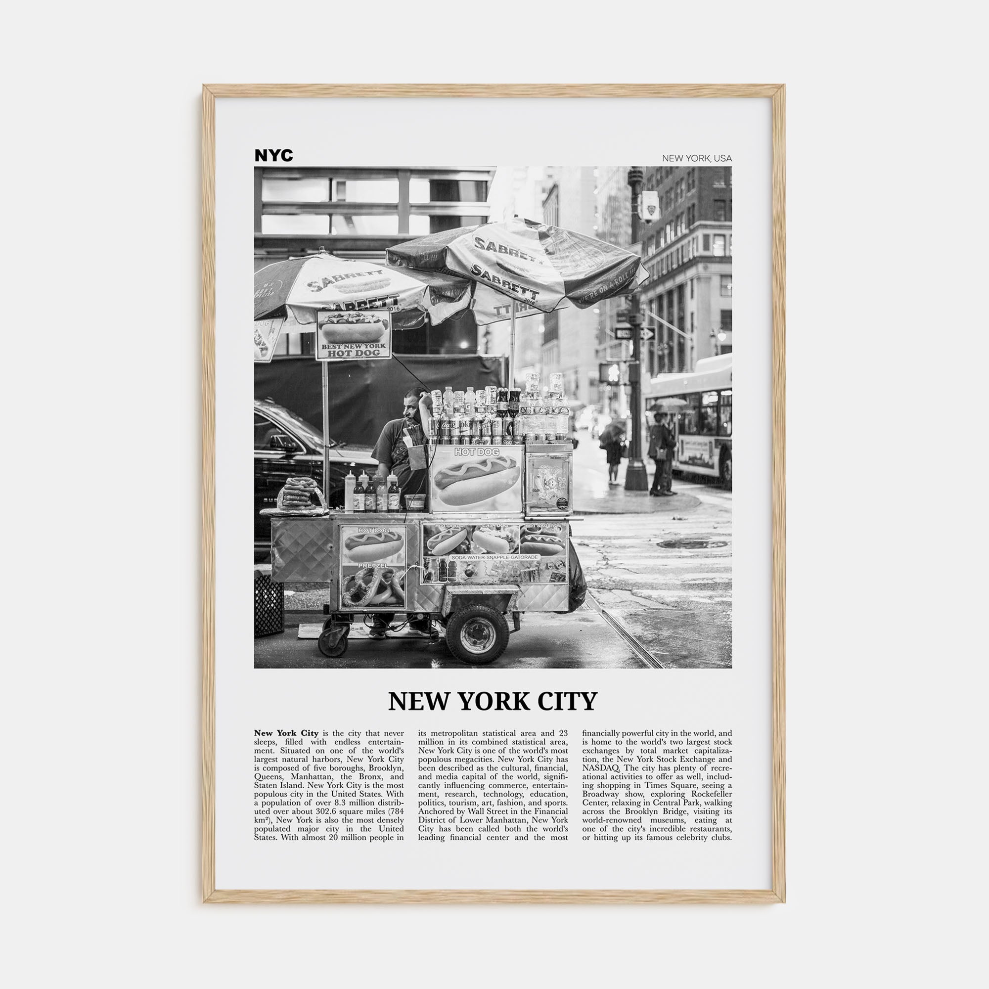 New York City Travel B&W No 5 Poster