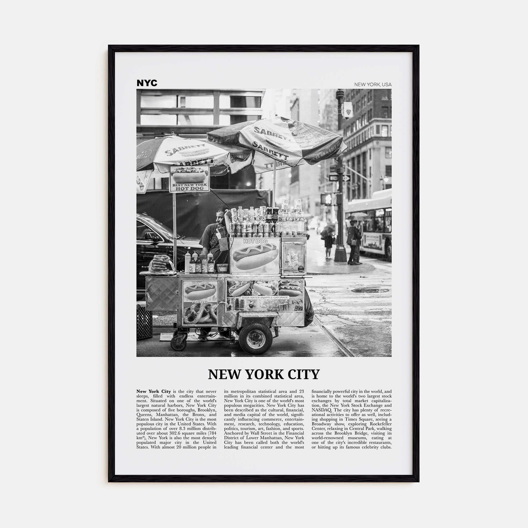 New York City Travel B&W No 5 Poster