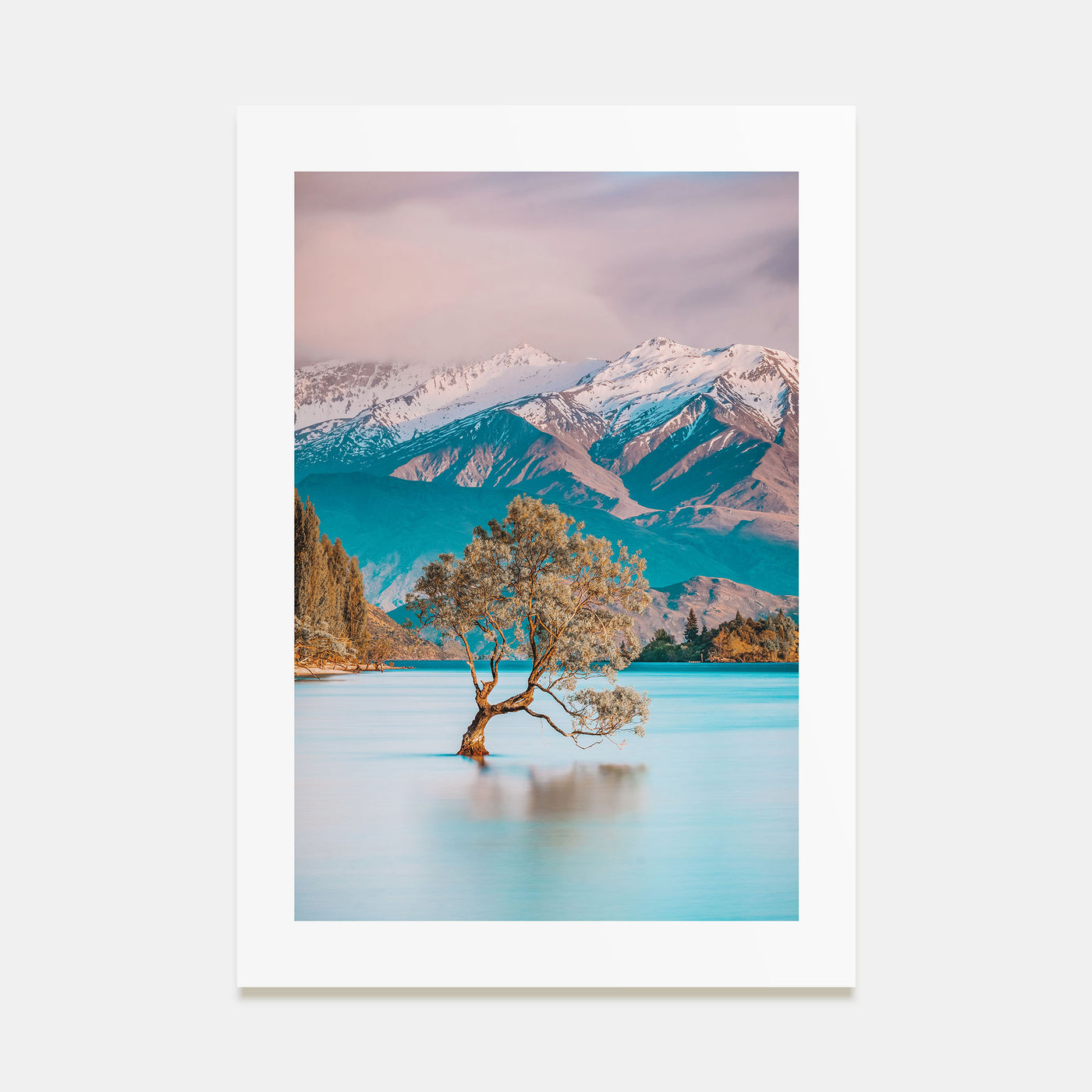 New Zealand Photo Color Poster
