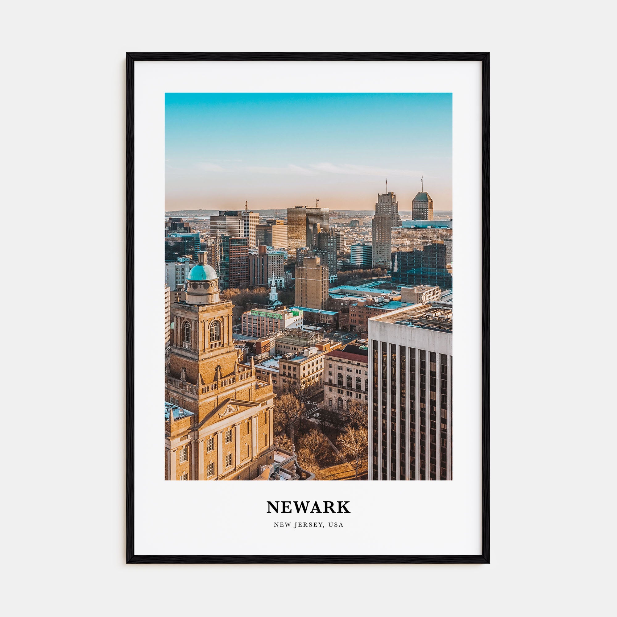 Newark Portrait Color Poster