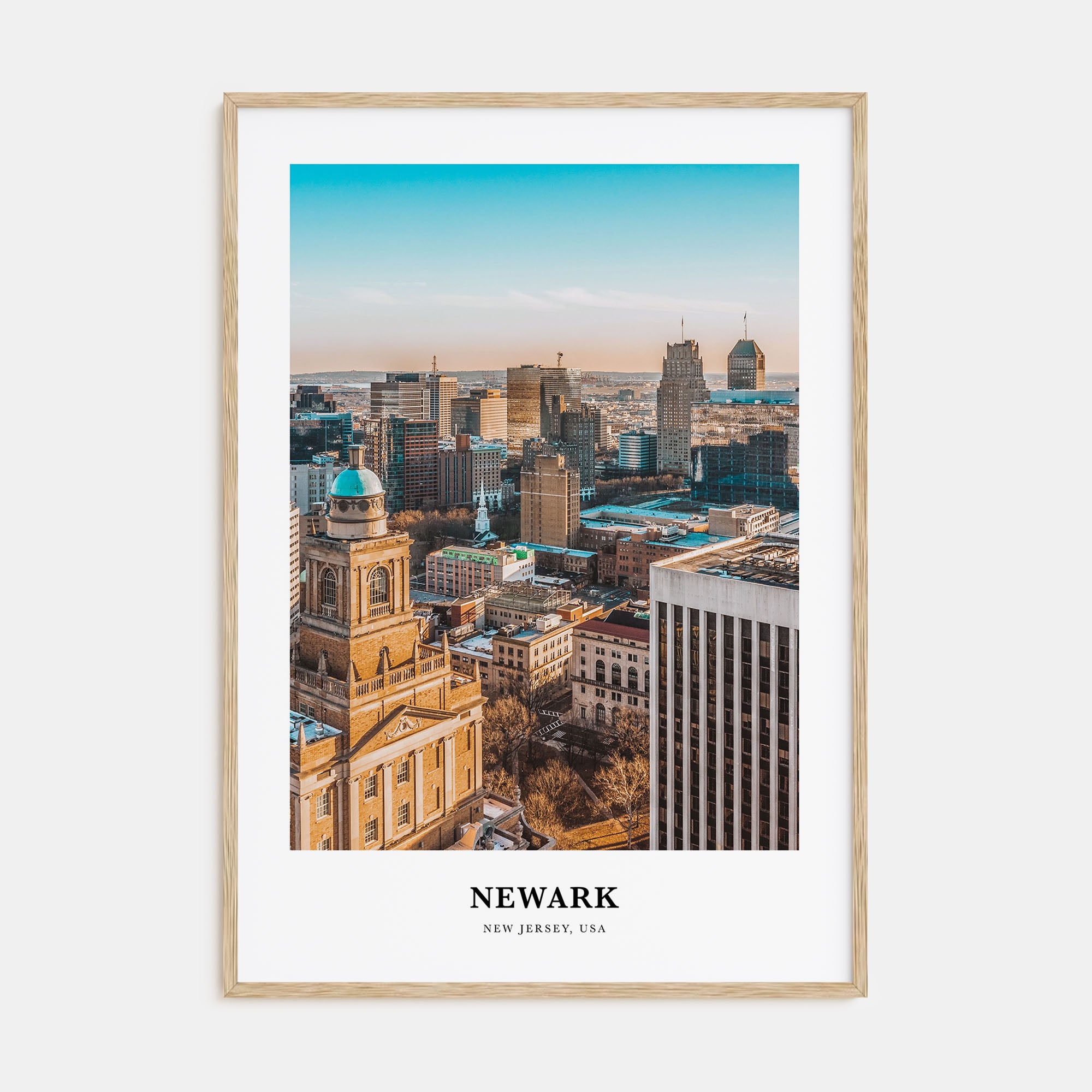 Newark Portrait Color Poster