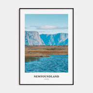 Newfoundland Portrait Color Poster
