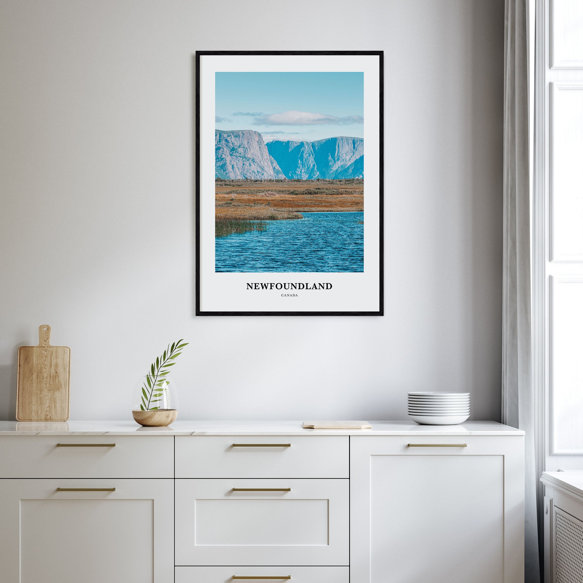 Newfoundland Portrait Color Poster