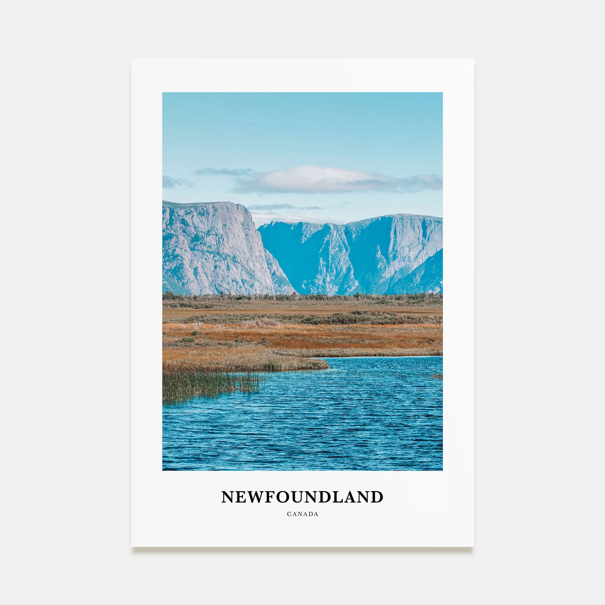 Newfoundland Portrait Color Poster