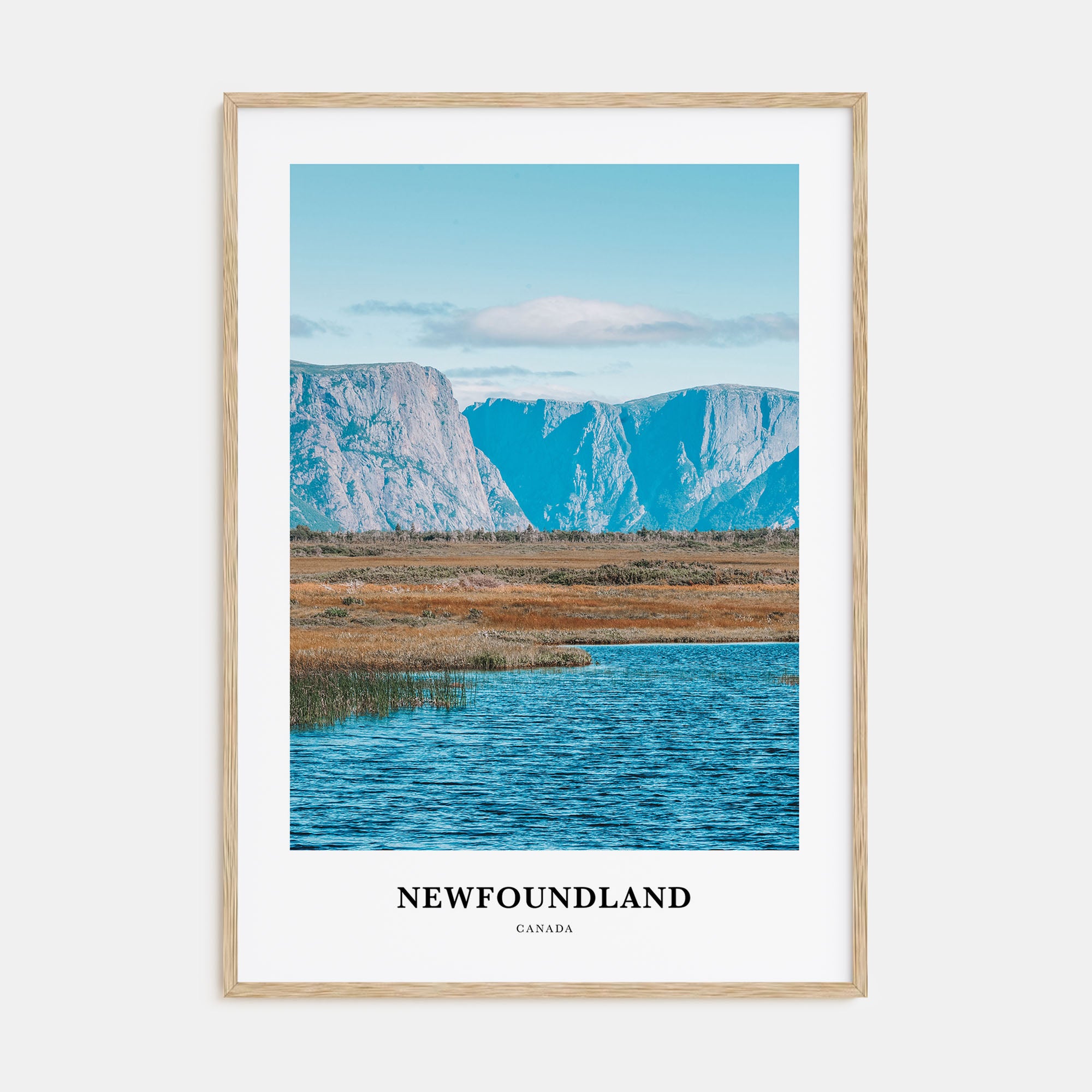 Newfoundland Portrait Color Poster