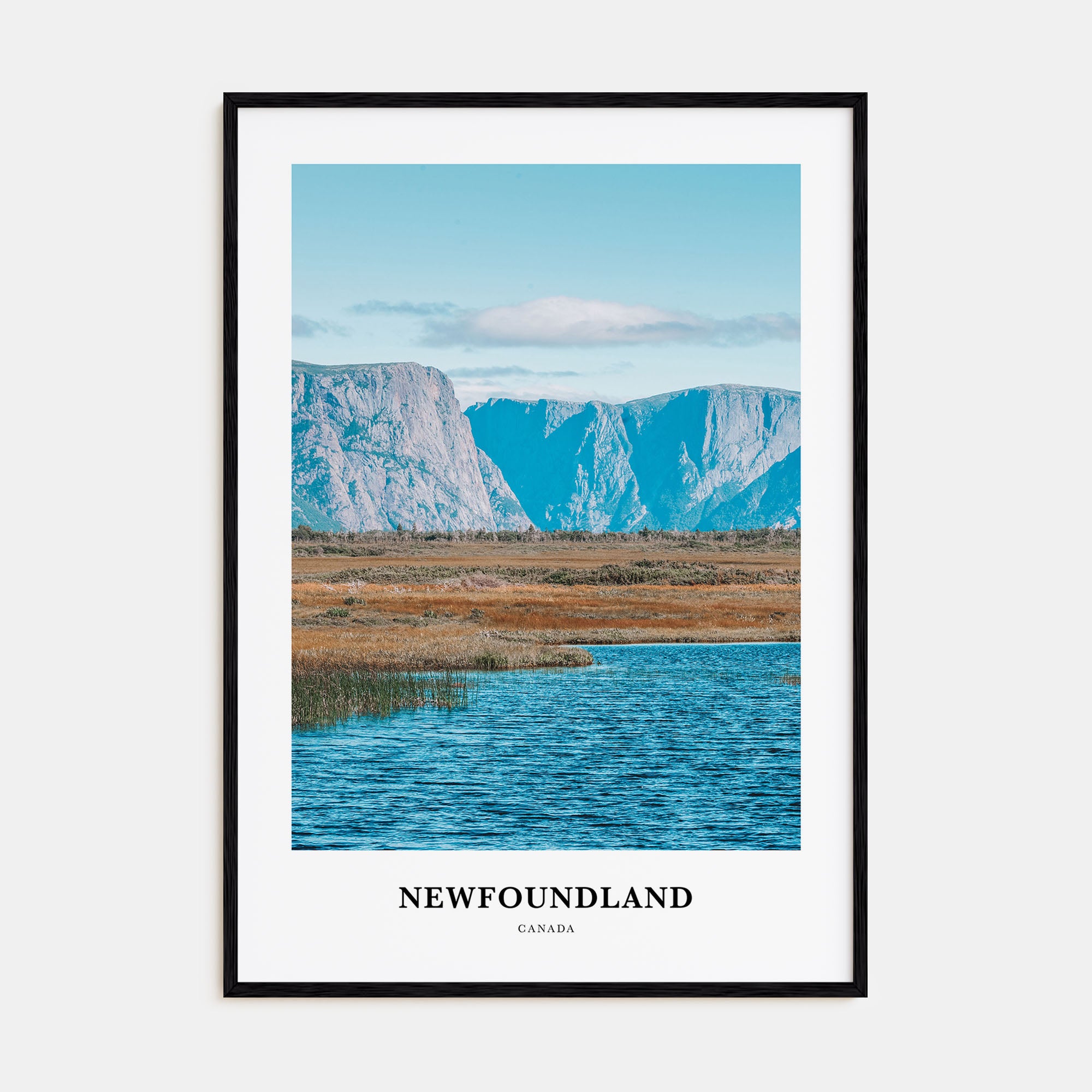 Newfoundland Portrait Color Poster