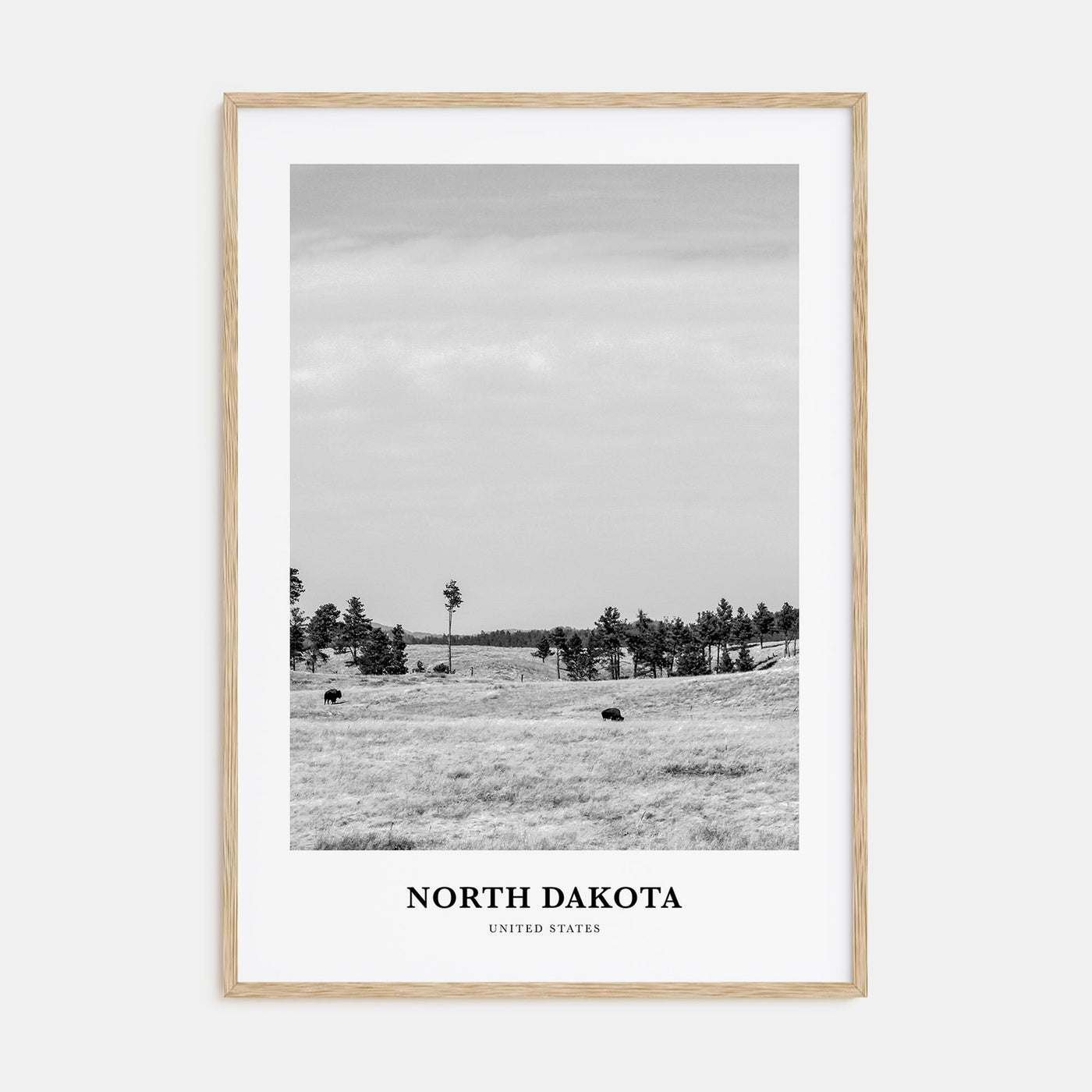 North Dakota Portrait B&W Poster