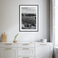 Northern California Photo B&W Poster