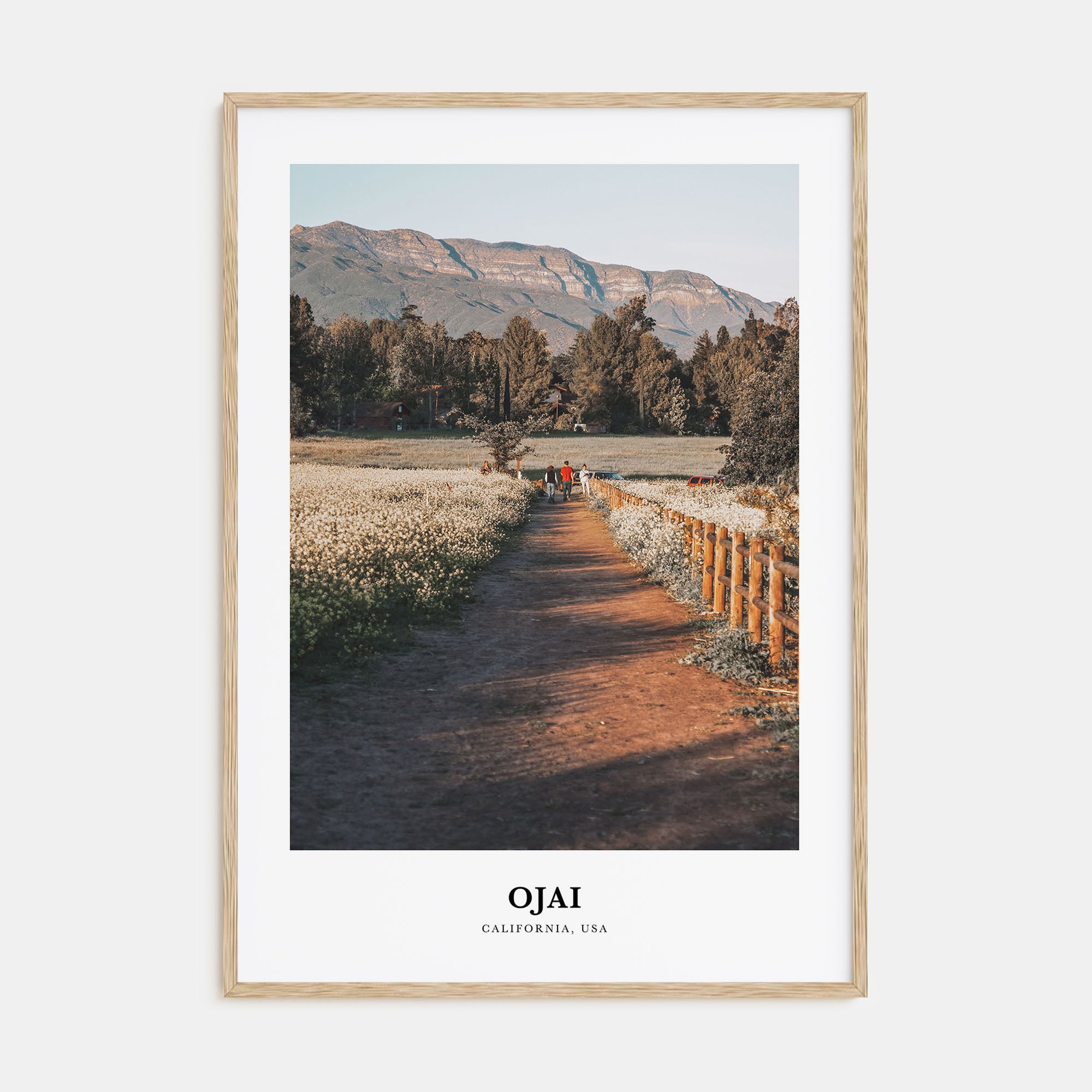 Ojai Portrait Color Poster