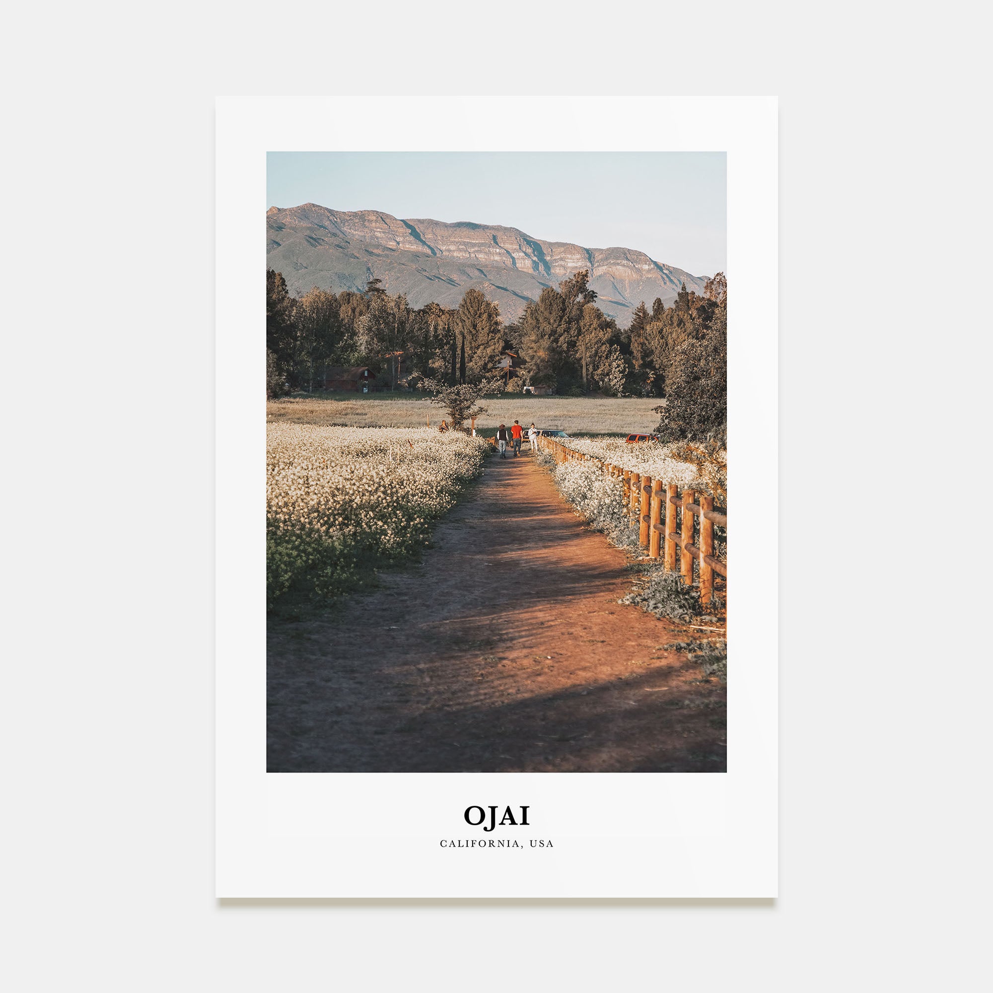 Ojai Portrait Color Poster