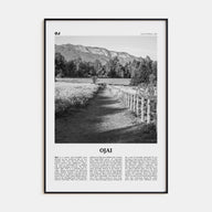 Ojai Travel B&W Poster