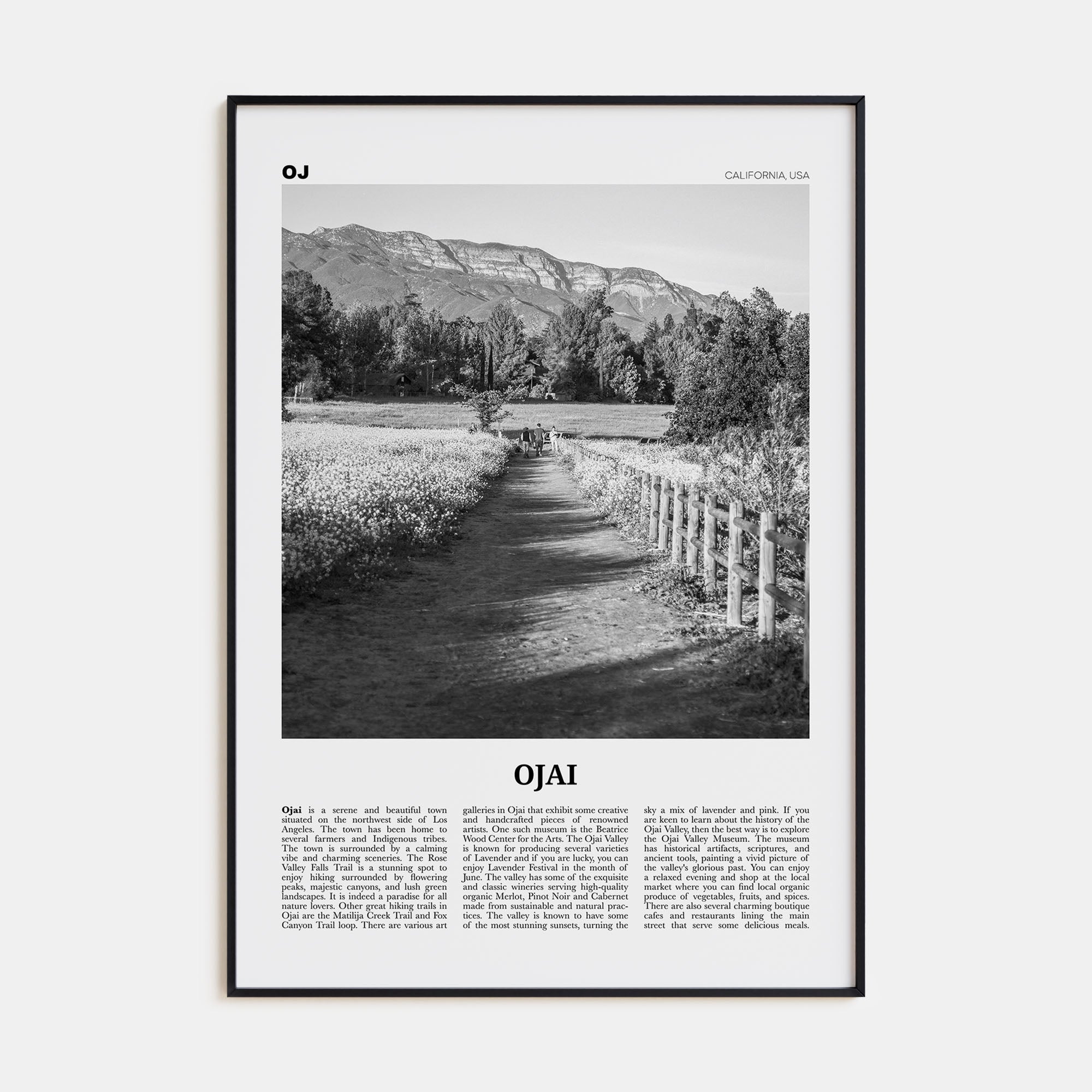 Ojai Travel B&W Poster