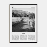 Ojai Travel B&W Poster