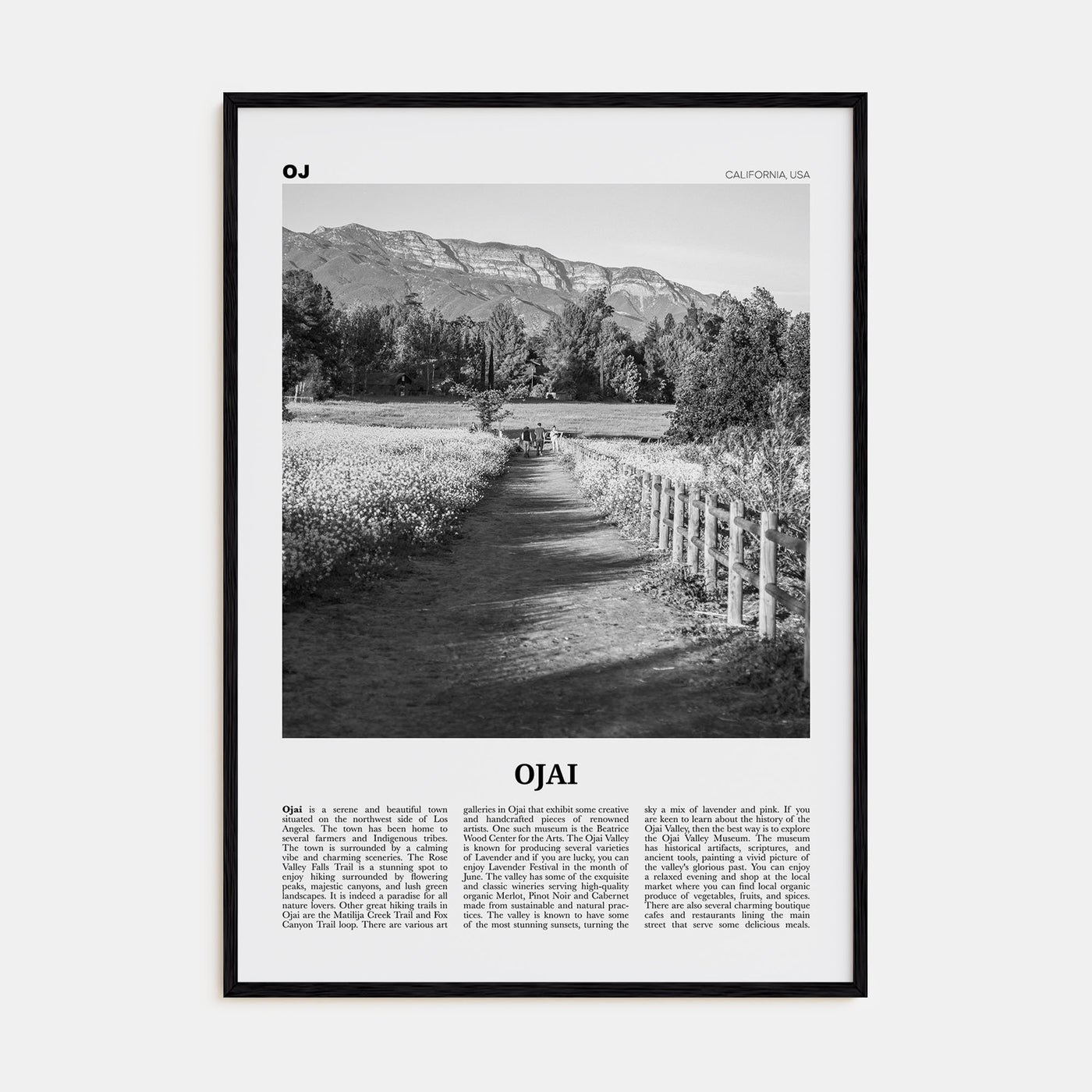 Ojai Travel B&W Poster
