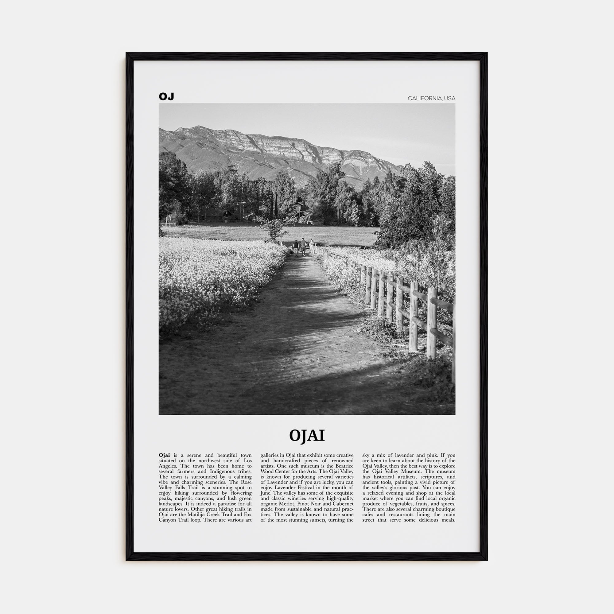 Ojai Travel B&W Poster